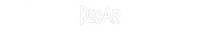 Custom Neon: Decar