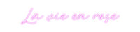 Custom Neon: La vie en rose